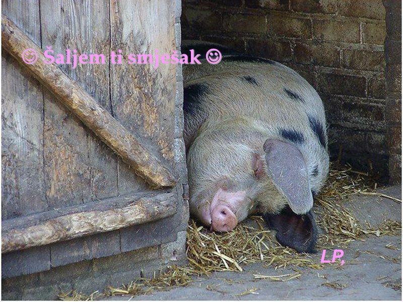 Šaljem ti smješak  LP,